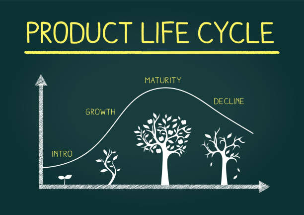Product life cycle phases